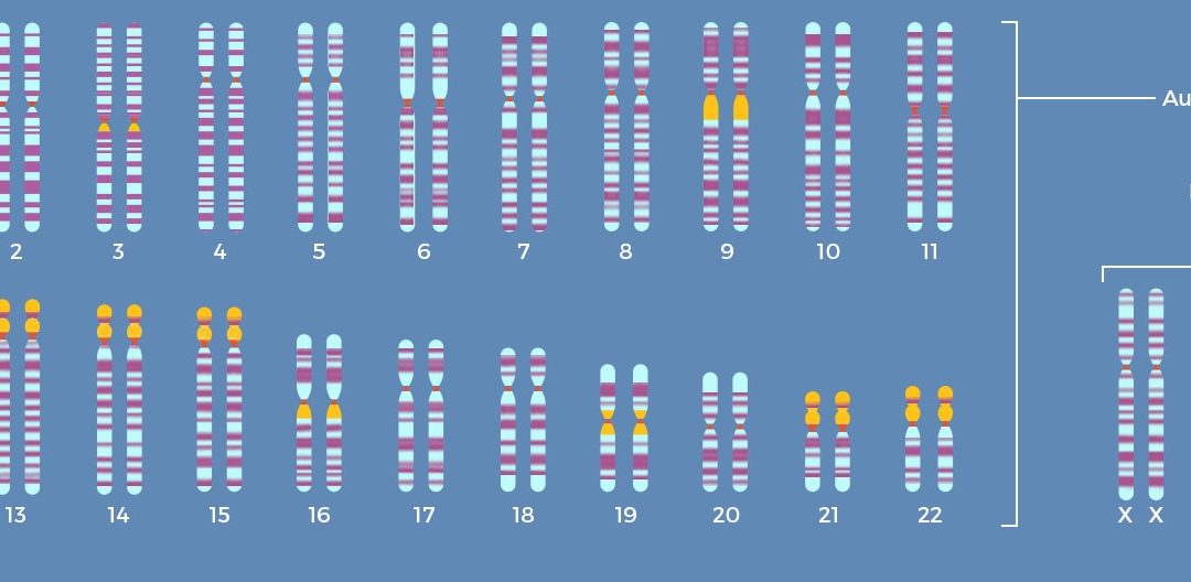 Šta su hromozomi i zašto su bitni?