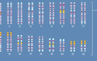 Šta su hromozomi i zašto su bitni?